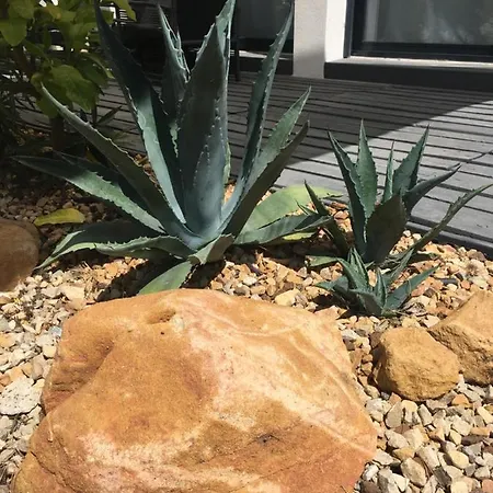 *maison Au Soleil En Provence * Sabran
